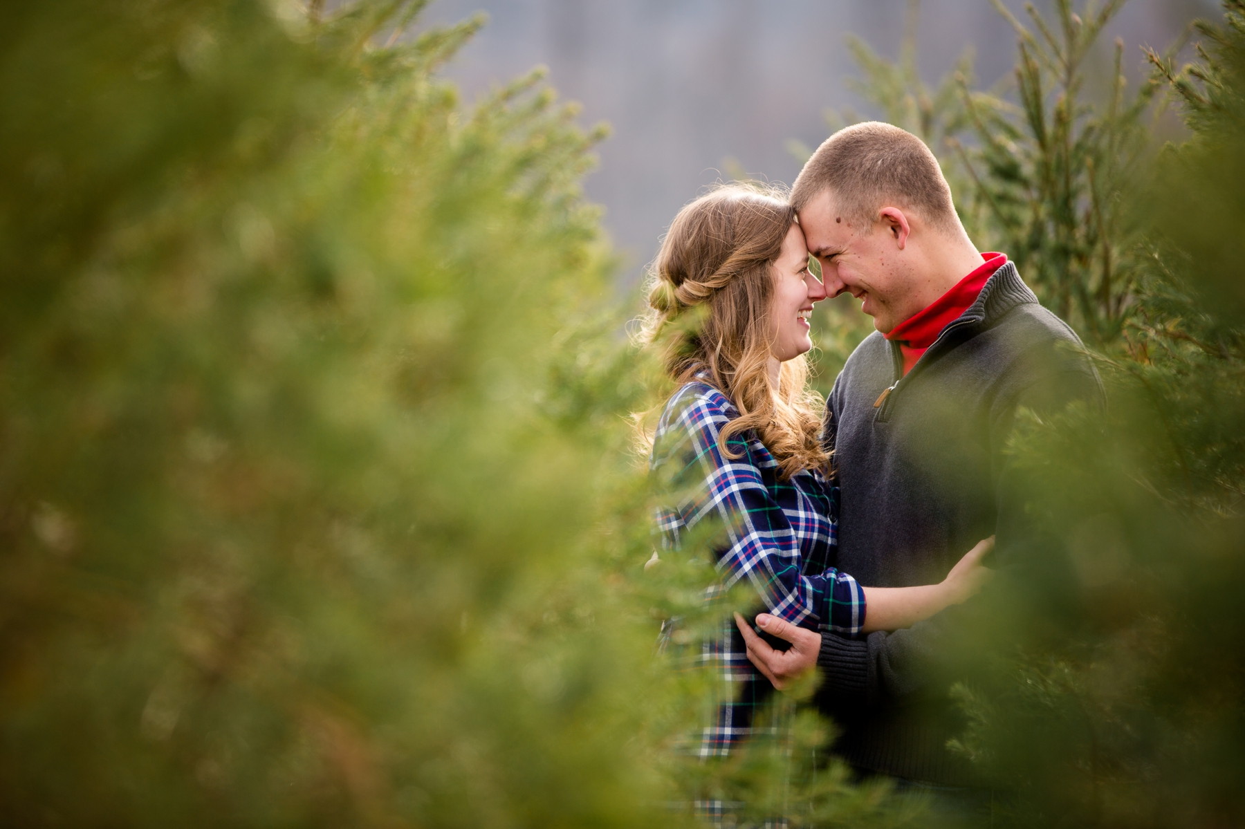 Eckler Christmas Tree Farm Couple Photography